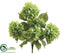 Silk Plants Direct Hydrangea Bush - Green - Pack of 6