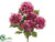 Hydrangea Bush - Rose Two Tone - Pack of 6