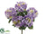 Hydrangea Bush - Lavender Two Tone - Pack of 12