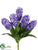Hyacinth Bush - Beauty Cream - Pack of 12