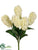 Hyacinth Bush - Cream - Pack of 12