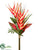 Heliconia, Grass Bundle - Red Green - Pack of 6