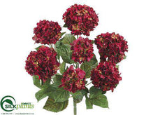 Hydrangea Bush - Burgundy - Pack of 6
