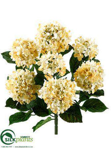 Hydrangea Bush - Cream Beige - Pack of 6