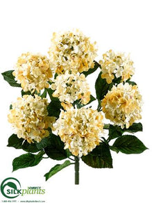 Hydrangea Bush - Cream Beige - Pack of 6