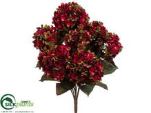 Hydrangea Bush - Eggplant Green - Pack of 6