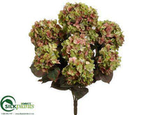 Hydrangea Bush - Green Mauve - Pack of 6