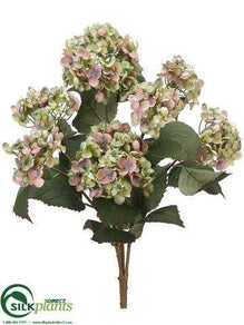 Hydrangea Bush - Green Lavender - Pack of 6