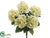 Hydrangea Bush - Cream Green - Pack of 12