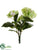 Hydrangea Bush - Green - Pack of 12