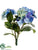 Hydrangea Bush - Helio Delphinium - Pack of 12
