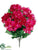 Hydrangea Bush - Beauty Fuchsia - Pack of 12