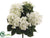 Hydrangea Bush - Cream - Pack of 12