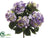 Hydrangea Bush - Lavender Two Tone - Pack of 12