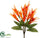 Heliconia Bush - Orange Yellow - Pack of 6