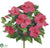 Hibiscus Bush - Red - Pack of 12