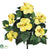 Hibiscus Bush - Yellow - Pack of 12