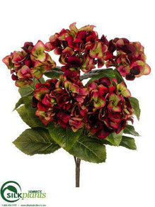 Hydrangea Bush - Burgundy - Pack of 6