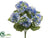 Hydrangea Bush - Blue Two Tone - Pack of 12