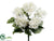 Hydrangea Bush - Cream - Pack of 12