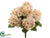 Hydrangea Bush - Pink Cream - Pack of 12