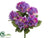 Hydrangea Bush - Purple - Pack of 12