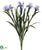 Iris Bush - Lavender - Pack of 4
