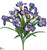 Iris Bush - Purple Two Tone - Pack of 12