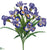 Iris Bush - Purple Two Tone - Pack of 12