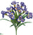 Iris Bush - Purple Two Tone - Pack of 12