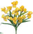 Iris Bush - Yellow - Pack of 12