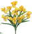 Iris Bush - Yellow - Pack of 12