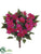 Impatiens Bush - Beauty - Pack of 6