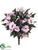 Impatiens Bush - Pink Light - Pack of 6