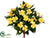 Impatiens Bush - Yellow - Pack of 6