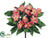 Impatiens Bush - Coral - Pack of 24