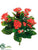 Kalanchoe Bush - Flame - Pack of 6