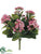 Kalanchoe Bush - Pink Two Tone - Pack of 6