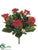 Kalanchoe Bush - Red - Pack of 6