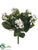 Kalanchoe Bush - White - Pack of 6