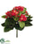 Kalanchoe Bush - Red - Pack of 12