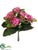 Kalanchoe Bush - Rose - Pack of 12