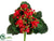 Kalanchoe Bush - Red - Pack of 12