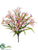 Nerine Lily Bush - Pink - Pack of 12
