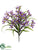 Nerine Lily Bush - Purple Lavender - Pack of 12