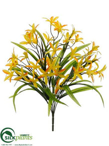 Nerine Lily Bush - Yellow - Pack of 12