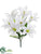 Easter Lily Bush - White - Pack of 24