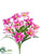 Lily Bush - Orchid Pink - Pack of 12