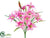 Lily Bush - Orchid Two Tone - Pack of 12