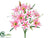Lily Bush - Pink Two Tone - Pack of 12